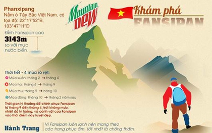 Infographic: Leo Fan mùa xuân