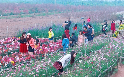 Teen Hà Thành chen chúc chụp ảnh ở vườn hoa Nhật Tân