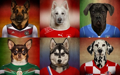Phì cười với loạt ảnh "đội tuyển cún" ăn theo World Cup 2014