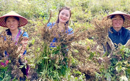 Hoàng Uyển - Từ nguyên liệu thiên nhiên bản địa đến sản phẩm chăm sóc sức khoẻ, sắc đẹp