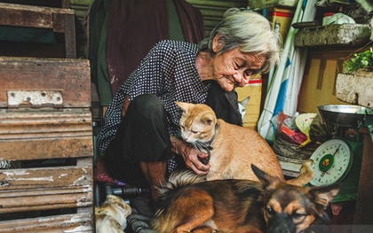 Những chú chó mèo bị bỏ rơi và hàng rau của bà cụ nghèo ở Sài Gòn