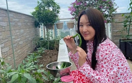 Căn nhà của Dương Vũ Anh, 53 tuổi, gây sốt: Decor sân vườn, bếp nhỏ, góc đọc sách đẹp như tạp chí