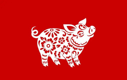 Tổng quan tử vi tuổi Hợi năm 2026