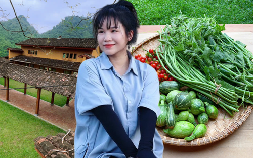 Cặp vợ chồng chi 3 tỷ xây nhà như cổ tích trên vùng núi Tuyên Quang: View triệu đô, 0 đồng rau củ