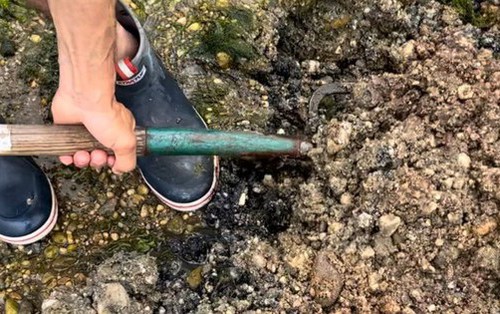 Đi đào giun, người đàn ông phát hiện kho báu vô giá nặng 6kg