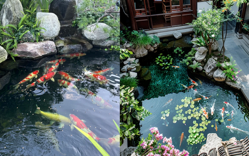 Trước nhà có ao phong thủy tốt hay xấu? Đọc xong bớt lo lấp ao vội