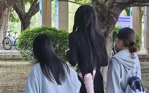 Bức ảnh chụp bóng lưng của 3 nữ sinh khiến hàng triệu người dừng chân