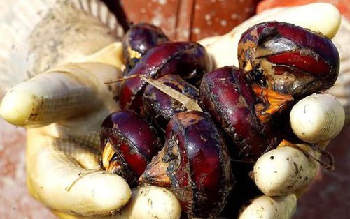 4 loại rau dễ chứa "ổ sán", chủ sạp bán cũng ngại ăn