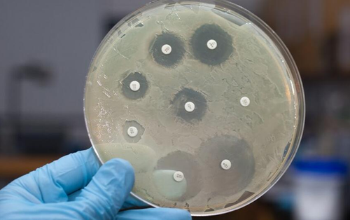 Đối phó mối đe dọa toàn cầu mang tên "kháng kháng sinh": Giải pháp từ các nhà khoa học đình đám tại VinFuture
