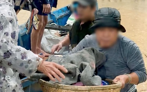 Vụ mẹ và bé sơ sinh xin vào tránh lũ nhưng bị từ chối: Phó Giám đốc Sở Y tế đến tận nhà xin lỗi