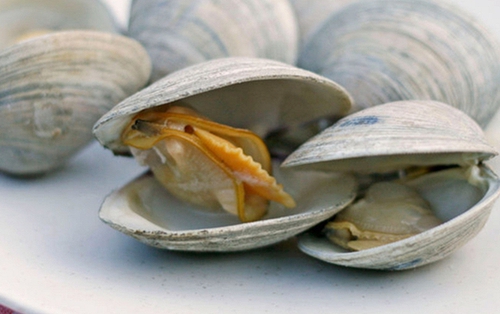 4 thực phẩm dễ tích tụ cả "mỏ kim loại nặng", độc tính mạnh gấp nhiều lần thủy ngân