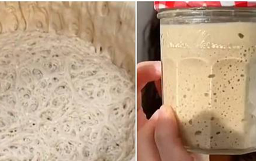 Lười nhưng thích "chữa lành", giới trẻ Trung Quốc nuôi nấm men làm thú cưng