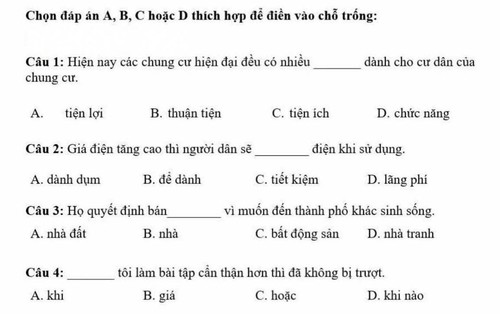 Làm đề thi tiếng Việt cho người nước ngoài, dân bản xứ tự hoài nghi khả năng dùng tiếng mẹ đẻ của mình