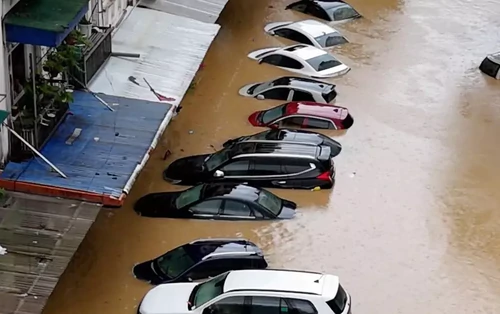 Sắp đấu giá lô xe ô tô bị ngập nước qua nóc, giá từ 2,02 tỷ đồng