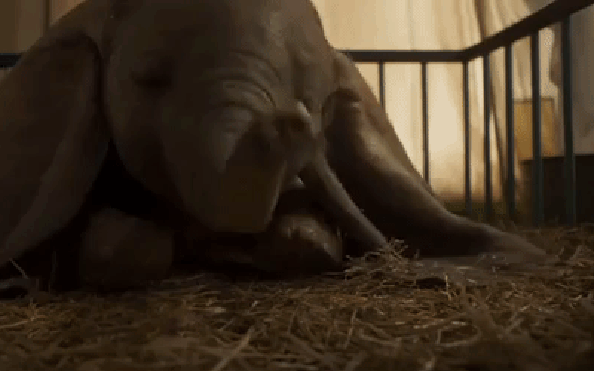 VOI CON DUMBO: tin tức Mới nhất Chú voi biết bay Dumbo "cute ...