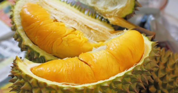 Cách ăn sầu riêng để không bị nổi mụn, nóng người