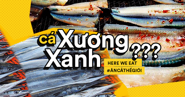 Loài cá xương xanh 