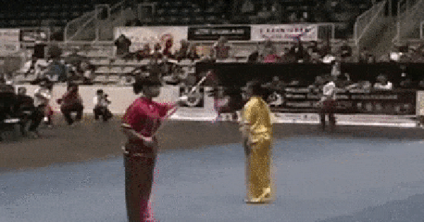 14 màn trình diễn võ thuật wushu lôi cuốn xem đã cả mắt