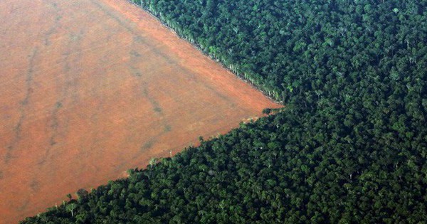 24 bức ảnh cho thấy rừng Amazon từ lá phổi xanh của thế giới đã trở thành chứng tích cho sự tàn phá của con người