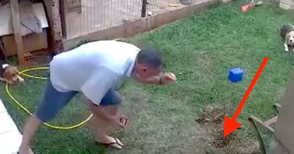 Người đàn ông suýt mất mạng vì châm lửa cho nổ tung cả vườn nhà, dân tình cười ra nước mắt với lý do đằng sau