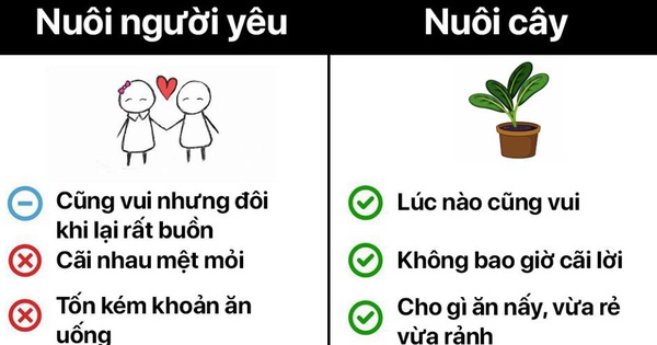 Chán khẩu nghiệp, các “liền anh”, “liền chị