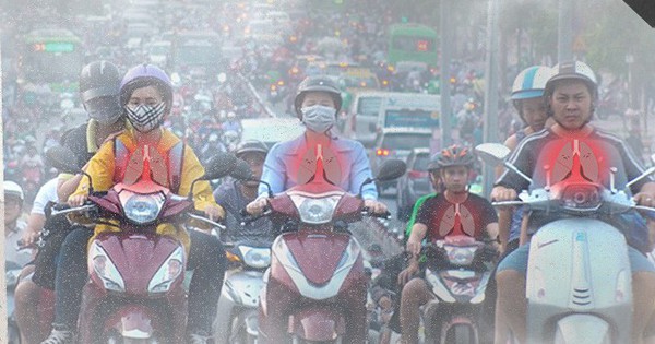 Lời kêu cứu của lá phổi: Đừng để chúng tôi phải chiến đấu trong đơn độc!