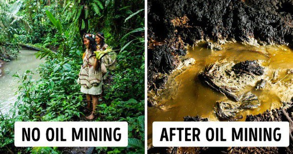 Những thổ dân Amazon vừa chặn được tập đoàn dầu mỏ khổng lồ đến phá rừng: Nguồn cảm hứng bảo vệ môi trường lan tỏa khắp Nam Mỹ