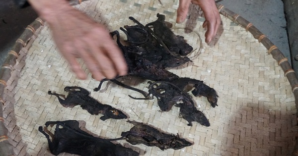 Độc đáo ngôi làng ở Hòa Bình người dân ăn Tết bằng thịt chuột