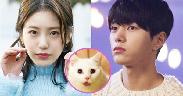 Meow, the Secret Boy ''ăn điểm'' fan Kpop vì đem fanfic ''mèo hóa người'' ra đời thực, thêm cả combo mỹ nam cực phẩm đóng chính?