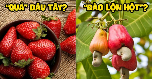 4 loại trái cây “ngược đời” nhất thế giới đã đánh lừa chúng ta bấy lâu nay, đọc xong những sự thật này ai cũng ngạc nhiên