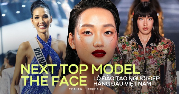 
                                    Next Top Model và The Face xứng danh 'lò đào tạo' người đẹp hàng đầu Việt Nam!