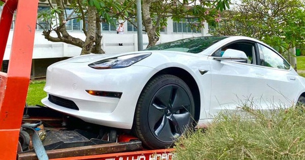 Trường đh ở sài gòn chơi lớn chi tiền tỷ mua xe ô tô điện tesla của elon musk về cho sinh viên thực hành
