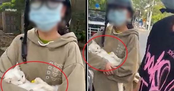 Lời gan ruột của CSGT bị "tấn công" trên MXH vì phạt người đưa mèo đi khám giữa lúc giãn cách - Vimarsana News