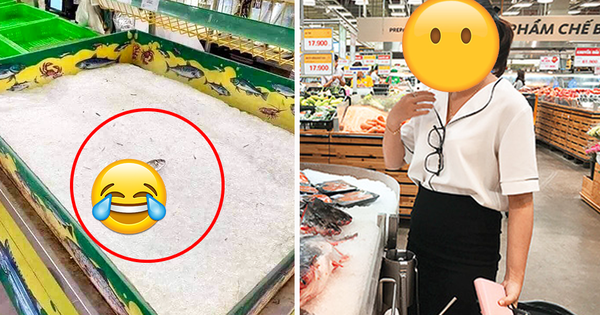 Chú cá cô đơn nhất trong siêu thị mùa dịch, ai nhìn qua cũng thương nhưng đành lắc đầu bỏ đi - Vimarsana News