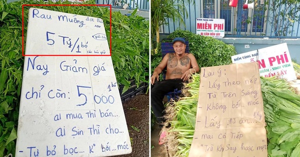 Anh bán rau khiến MXH "dậy sóng": Rau muống "đột biến" 5 tỷ/bó nhưng sẵn sàng mang cho những người khó khăn - Vimarsana News