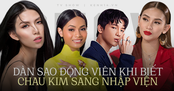 Võ Hoàng Yến, TyhD, Phạm Đình Thái Ngân và dàn sao Việt xót xa, kêu gọi giúp đỡ học trò Minh Tú viêm màng não - Vimarsana News