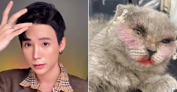 Lôi mèo ra makeup rồi gắn mi giả, một beauty blogger có tiếng bị netizen "ném đá" phải lên mạng phân trần - Vimarsana News