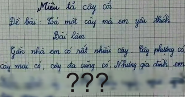Bài văn tả cây của học sinh lớp 3: Cây kiếm ra tiền, khiến mẹ khổ sở, đọc tên cây mà nhiều người lớn sững sờ - Vimarsana News