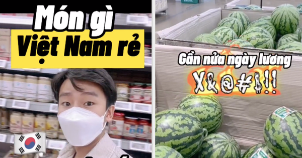 Loại thực phẩm rẻ bèo ở Việt Nam nhưng sang đến Hàn Quốc lại có giá "đắt xắt ra miếng", muốn mua ăn cũng tiếc tiền - Vimarsana News