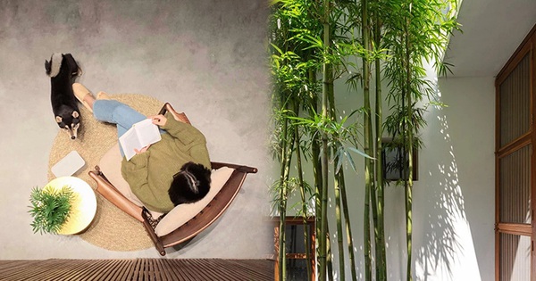 Vợ chồng 8X xây nhà 3,5 tỷ tại Long Biên: Bên ngoài là khối hộp cao 9m nhưng trong nhà lại ngập nắng "chill" bất ngờ - Vimarsana News