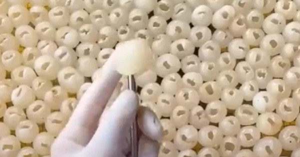Thì ra đây là cách tách hạt nhãn "nhanh như chớp" của người dân ở Hưng Yên, thoáng chốc đã đầy 1 khay - Vimarsana News