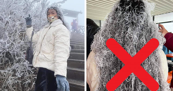 
                                    Thực hư hình ảnh cô gái ở Fansipan bị tuyết phủ kín tóc đang viral, khoan lên Sa Pa săn tuyết kẻo bị hớ!