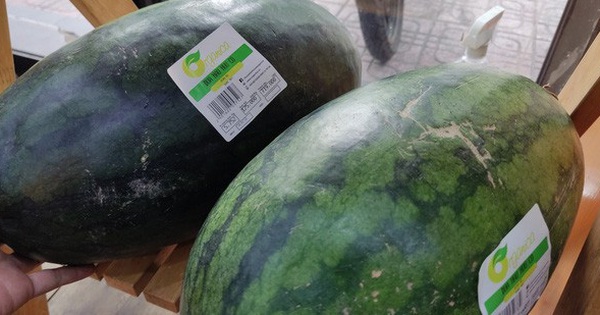 Housewives “surprised” with watermelon for over 700,000 VND