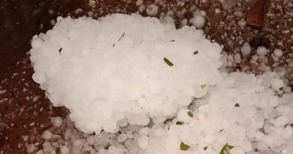 White hail appeared, many houses were damaged