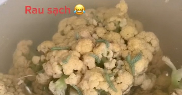 The girl showed off the “standard” clean vegetables, but after looking at them, netizens were shocked because of the strange creatures above them.