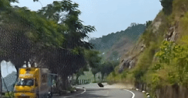 Suddenly, a rock slide occurred on the way to Son Tra peninsula in Da Nang