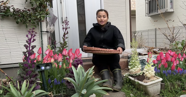 Quynh Tran JP “severely shocked” by the sight of a garden in Japan that hasn’t been taken care of for 3 months, don’t know whether to cry or laugh?