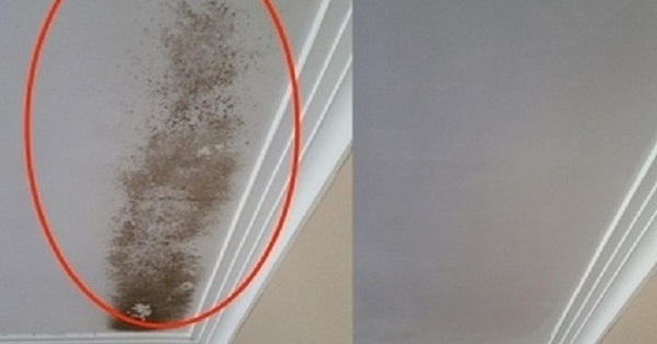 The ceiling has black mold, quickly solved in 5 minutes with ingredients available in the kitchen