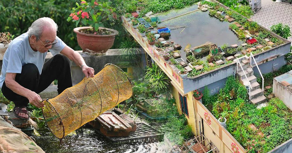 Admire the whole fish pond placed on the roof of the 87-year-old man