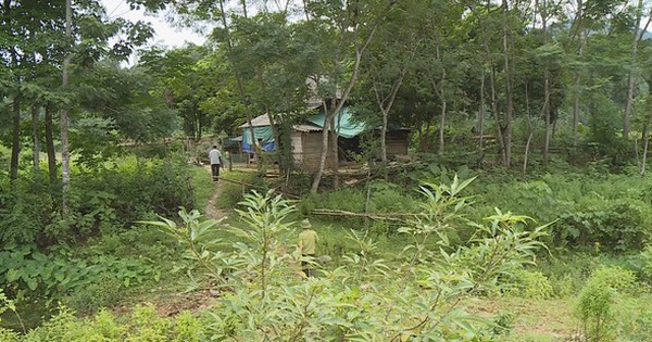 Hunting for the man who slashed and killed people in Vu Quang National Park
